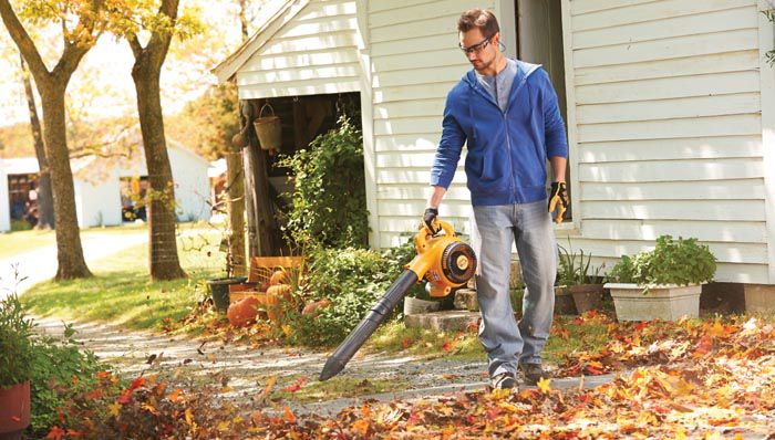 Leaf Blowers For Home Landscaping